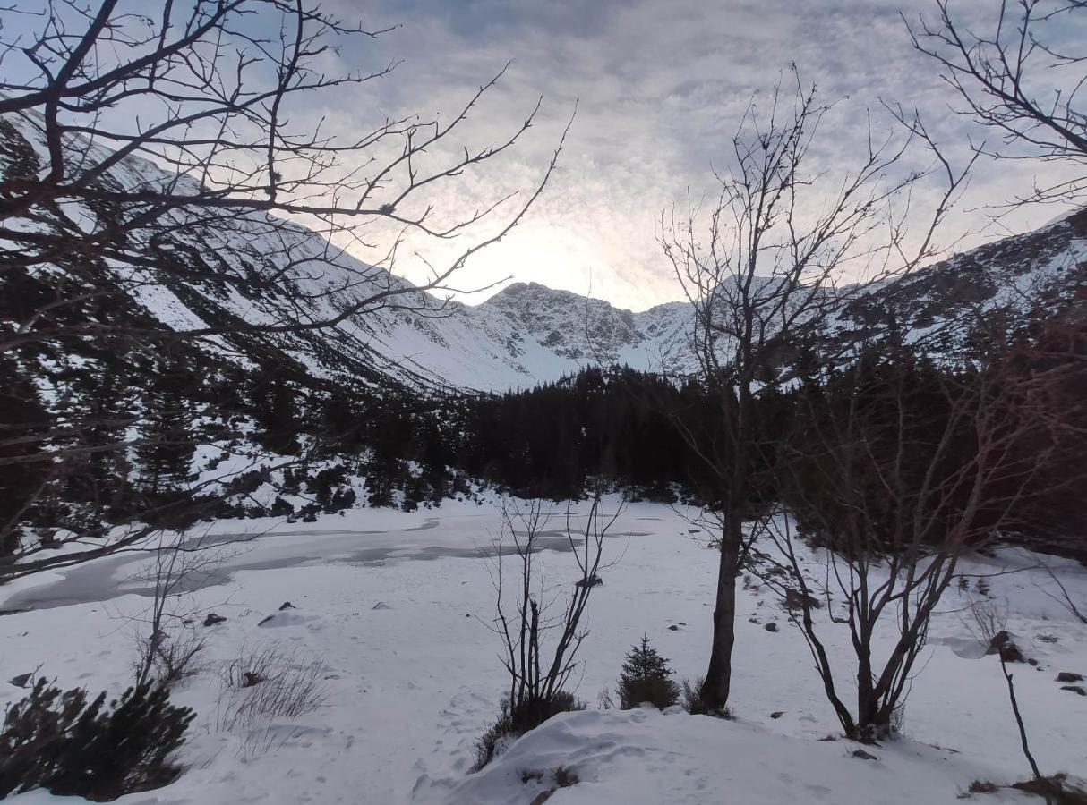 Western Tatras Slovakia Oravsky Biely Potok Esterno foto