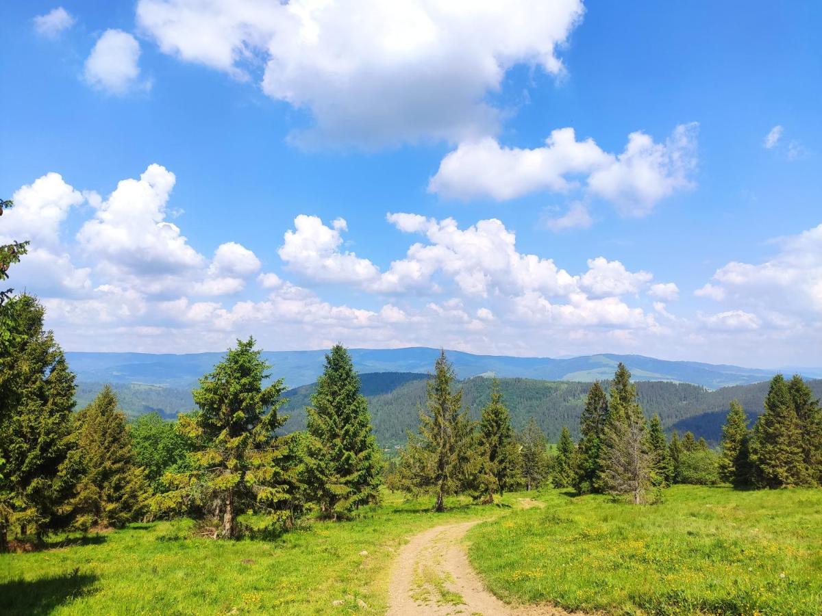 Western Tatras Slovakia Oravsky Biely Potok Esterno foto
